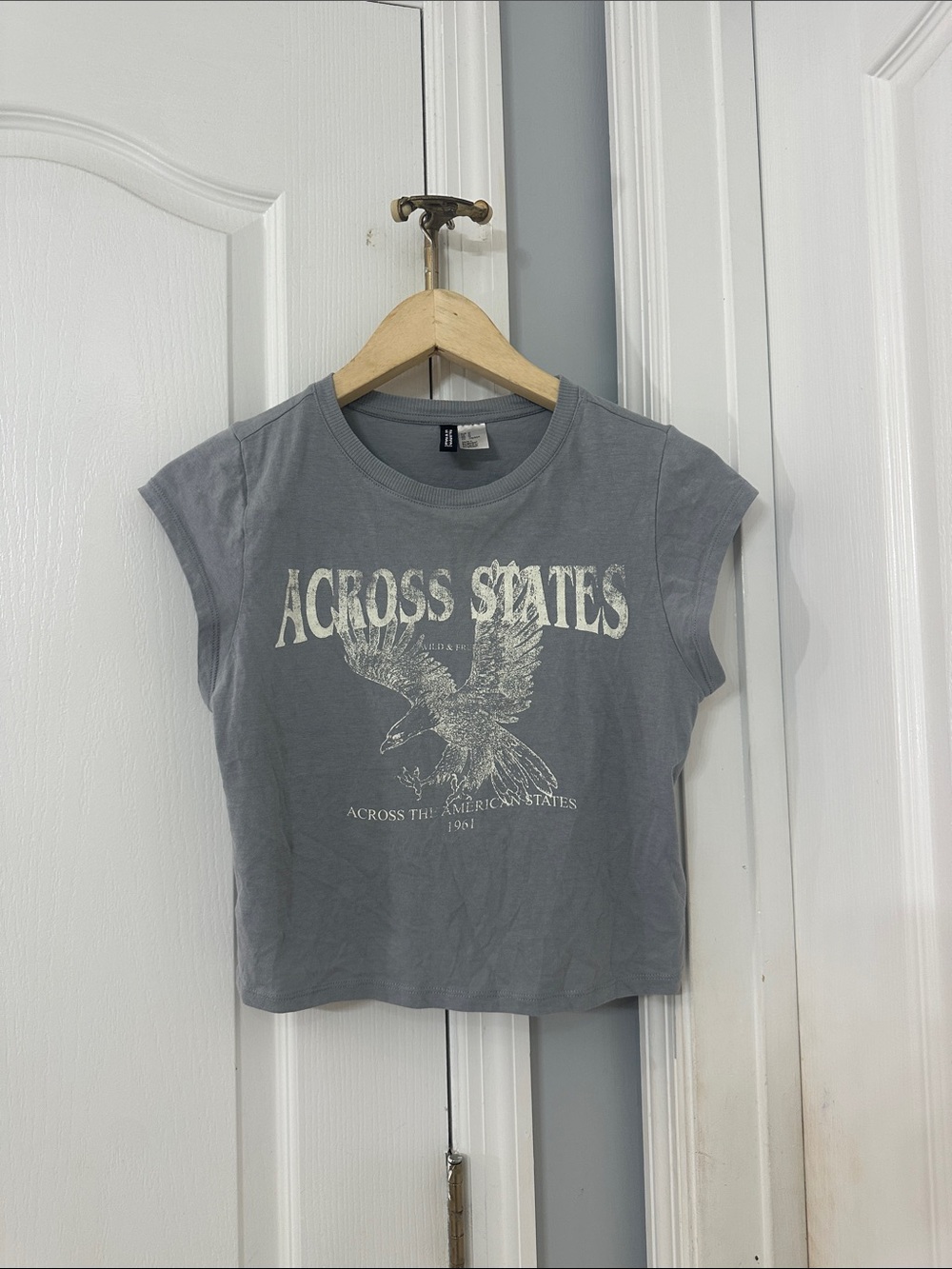 H&M Divided Across States Eagle Graphic Crop Tee Gray Size S